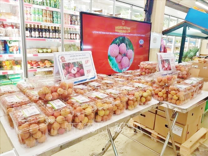 Tem truy xuất nguồn gốc