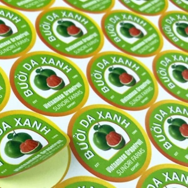 Mẫu tem bưởi xuất khẩu