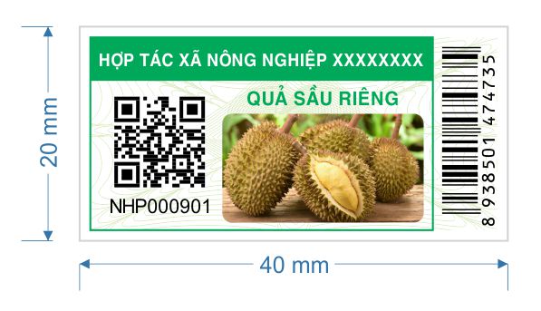 Tem mẫu sầu riêng