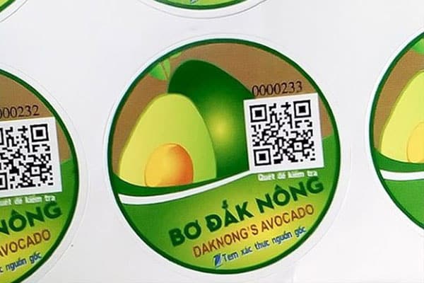 Tem bơ Đắk Nông