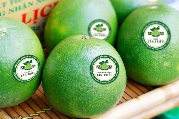 Tem xuất khẩu nông sản bưởi