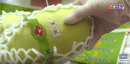 Trái xoài với tem xuất khẩu